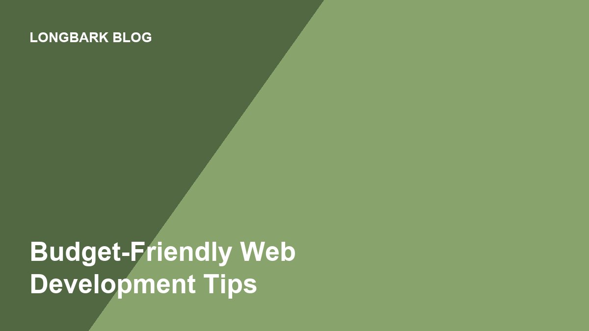 5 Tips for Budget-Friendly Web Development